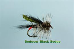 Black Seducer Sedge